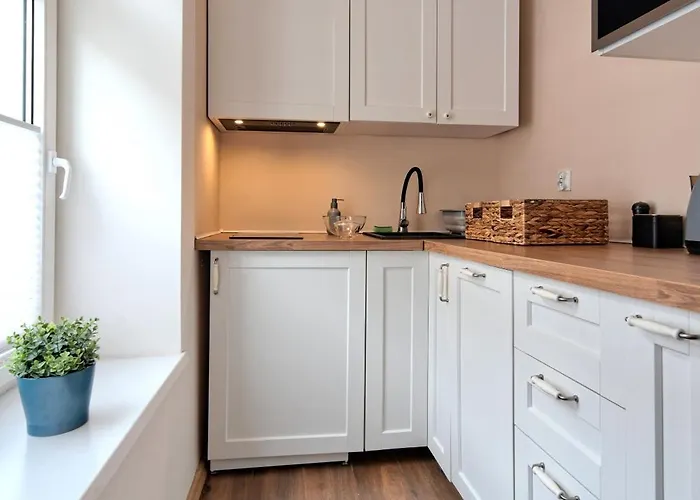 公寓 Platinium Wallenroda Cozy 格但斯克